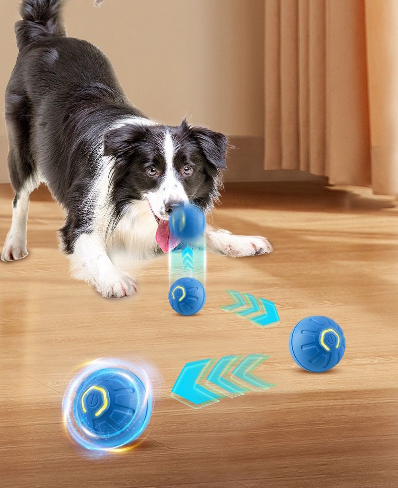Pet Ball Pro™ – La pelota interactiva que mantiene a tu mascota activa y feliz.